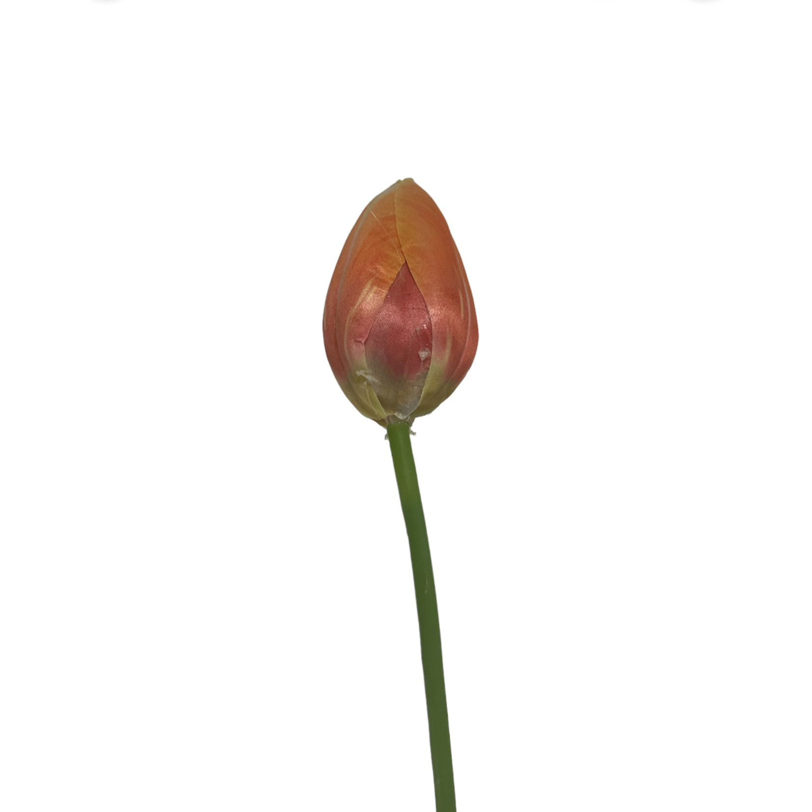 TULIP | ORANGE  | 66 CM