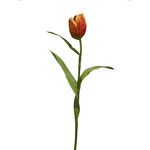 TULIP | ORANGE | 47 CM