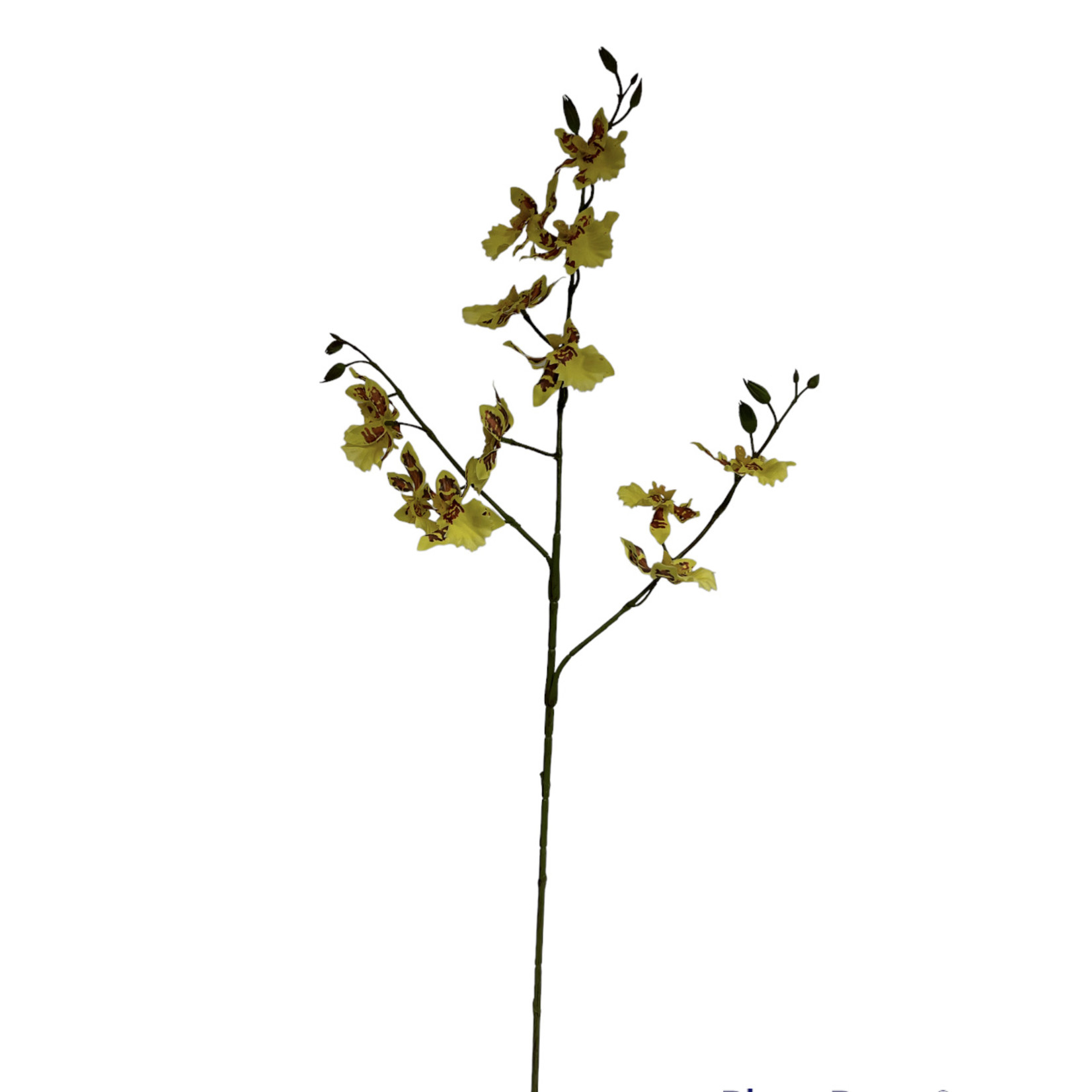 ONCIDIUM ORCHID |YELLOW| 85 CM