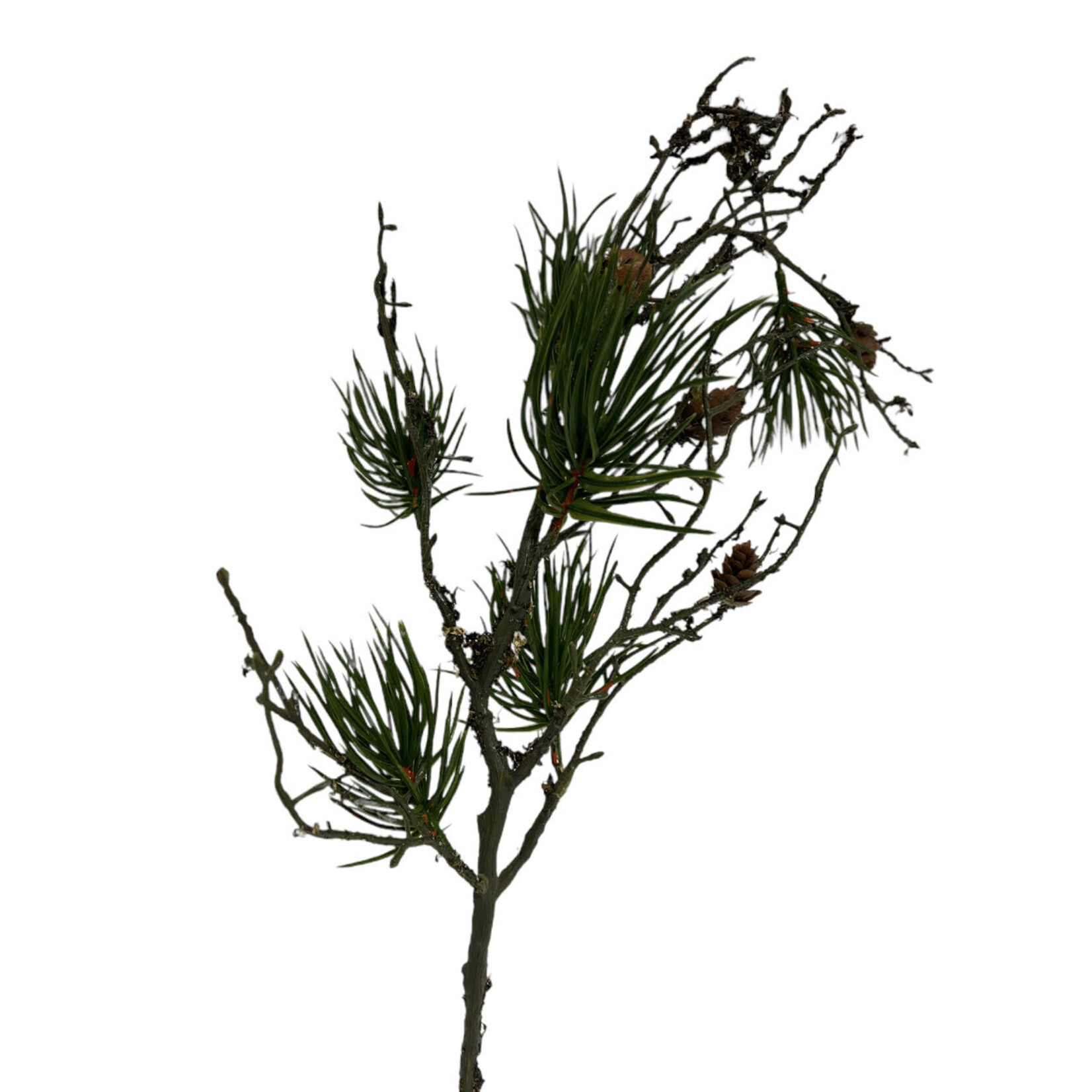 PINE BRANCH | GREEN | 77 CM