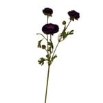 RANUNCULUS | PURPLE | 65 CM