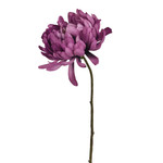 CHRYSANTHEMUM | PURPLE | 58 CM