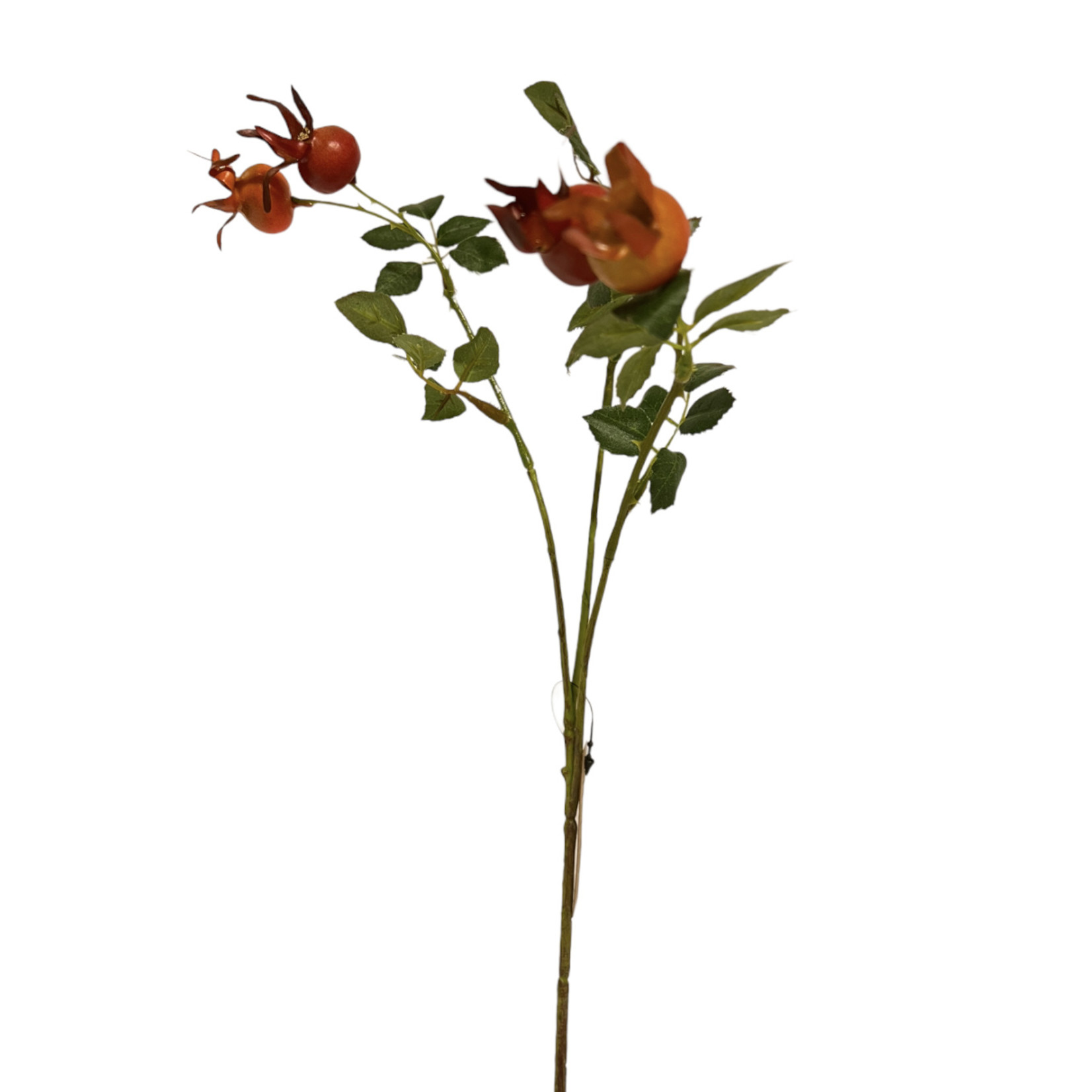 ROSEHIP | ORANGE | 60 CM