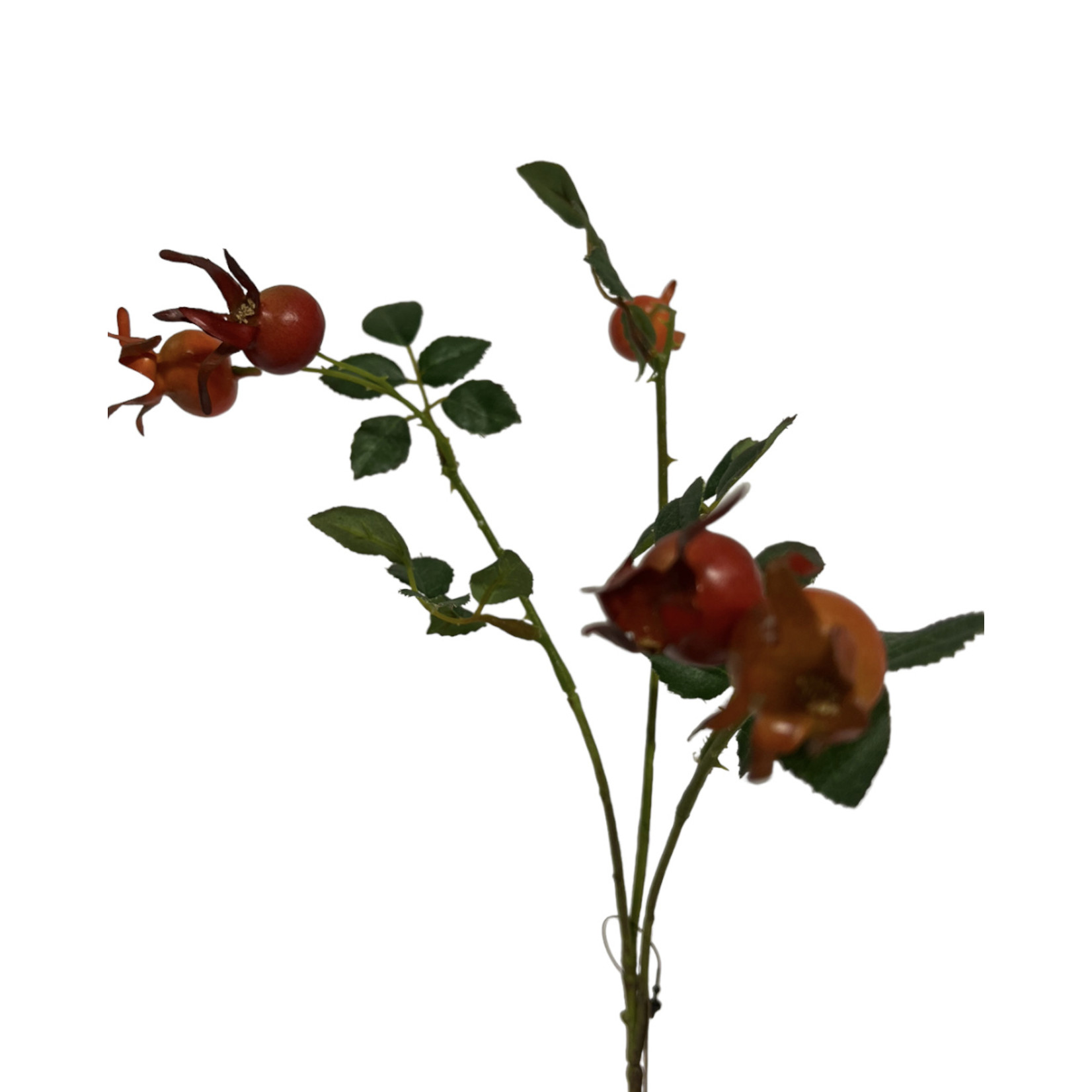 ROSEHIP | ORANGE | 60 CM