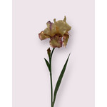 IRIS | PINK | 70 CM