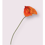 ANTHURIUM  | ORANJE | 66 CM