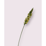 SNAPDRAGON | YELLOW | 98 CM