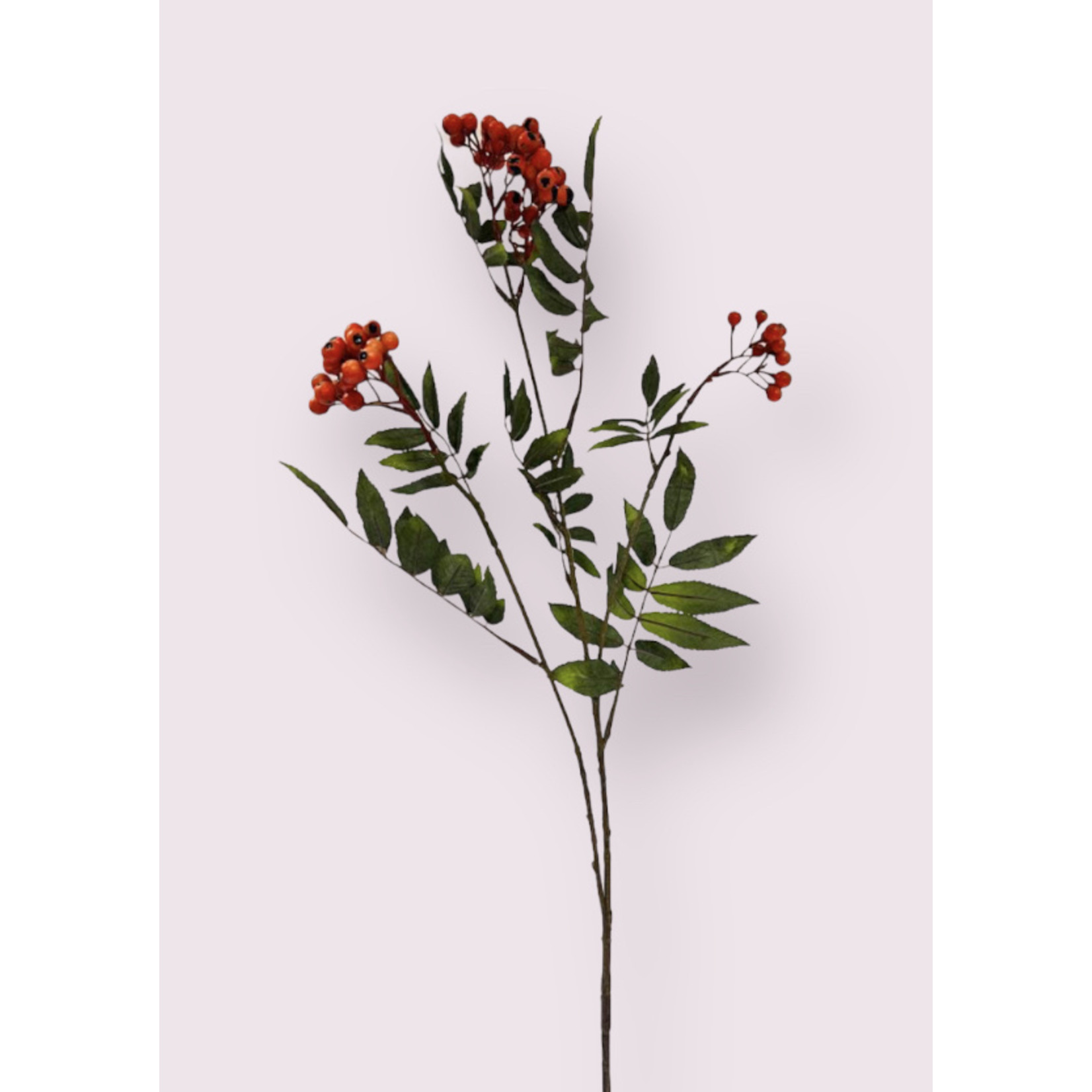 BERRY SPRAY  ROWAN | ORANGE| 84 CM