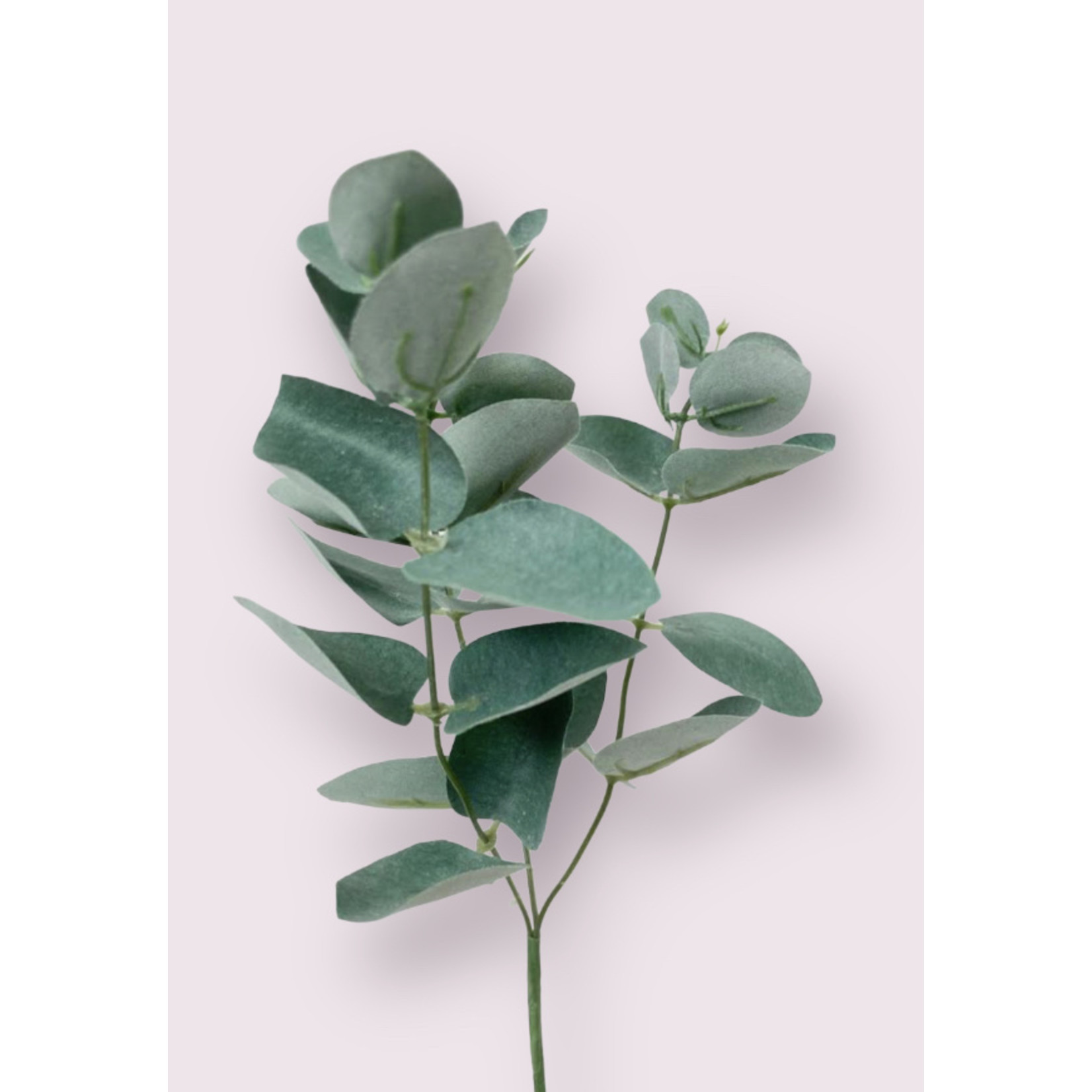 EUCALYPTUS SPRAY  | GREEN/GREY | 28 CM