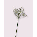 NERINE | WIT | 67 CM