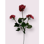 GERANIUM | ROZE | 70 CM