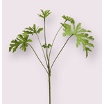 GERANIUM LEAF | GREEN | 61 CM