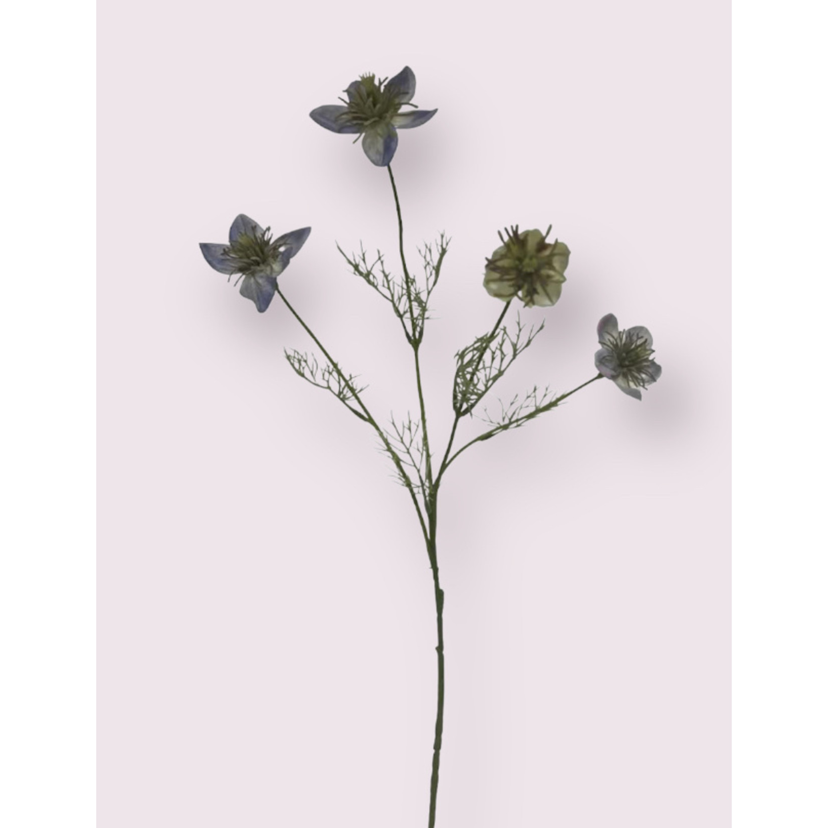 NIGELLA | PURPLE | 66 CM