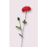 RANUNCULUS | PINK | 62 CM