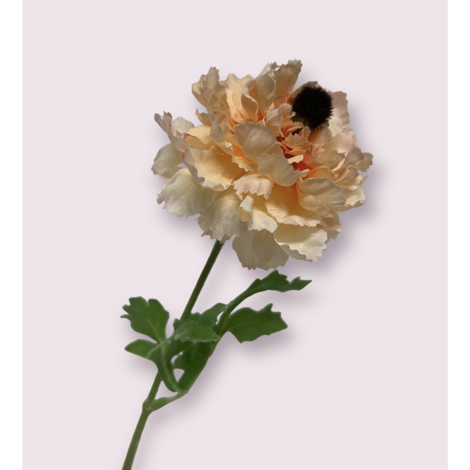 RANUNCULUS PASTEL| PEACH | 45 CM