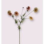 OX EYE DAISY | ORANGE | 92 CM