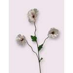 ANEMONE | PINK | 65 CM