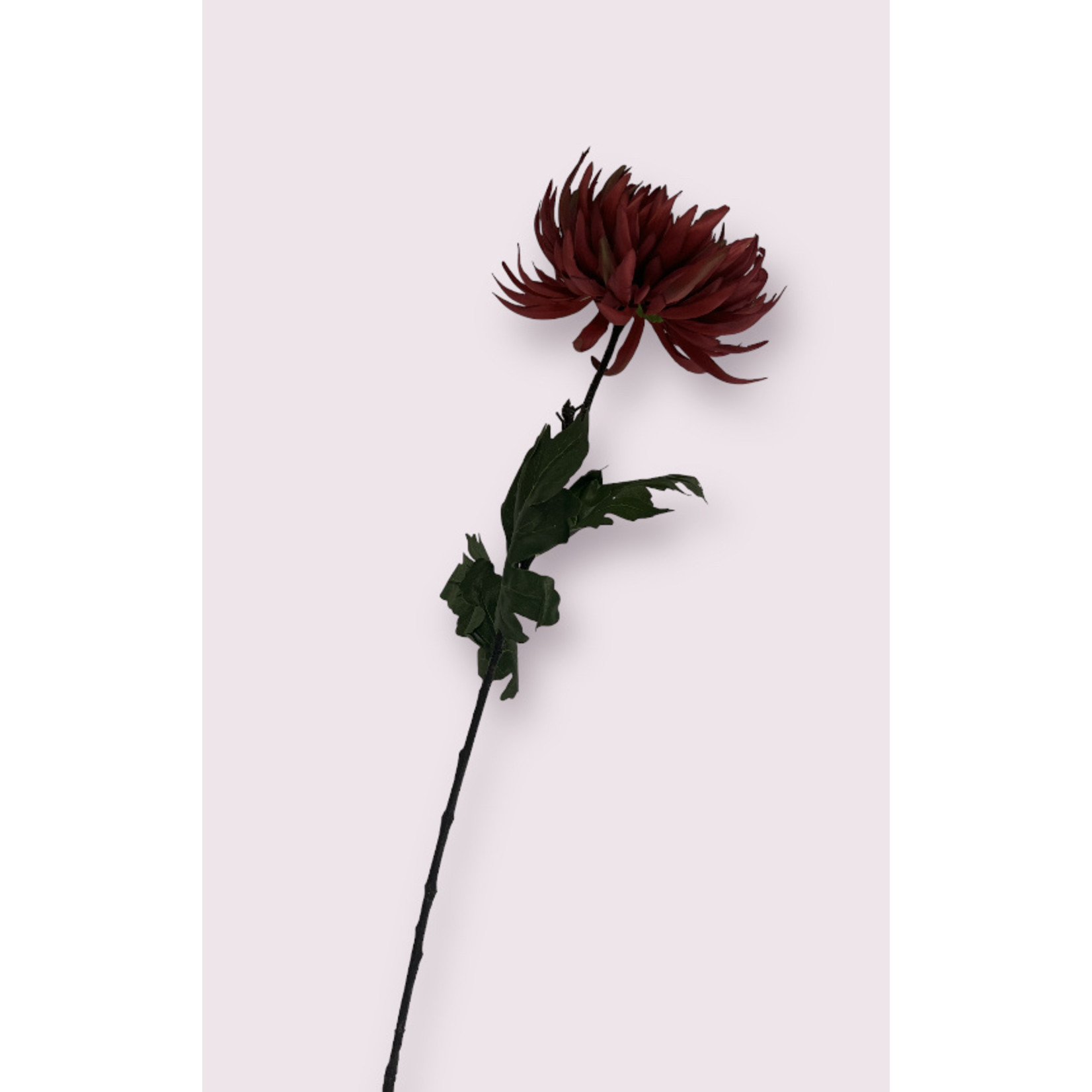 CHRYSANT LARGE | FUCHSIA | 82 CM