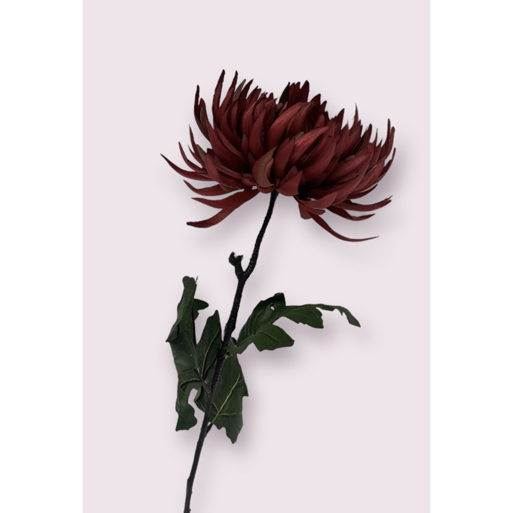 CHRYSANT LARGE | FUCHSIA | 82 CM