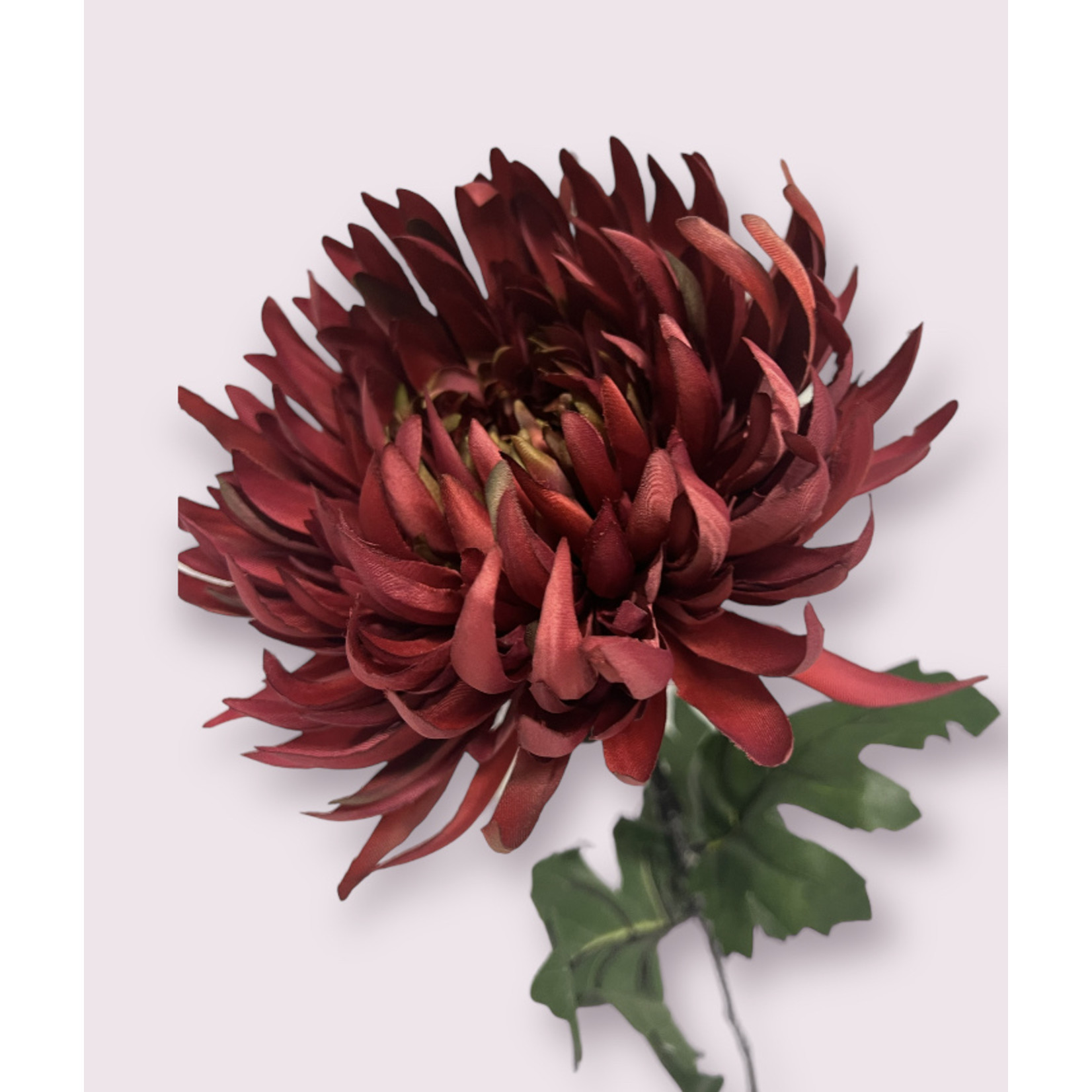 CHRYSANT LARGE | FUCHSIA | 82 CM