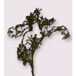 TWIG WITH MOSS | GREEN | 100 CM