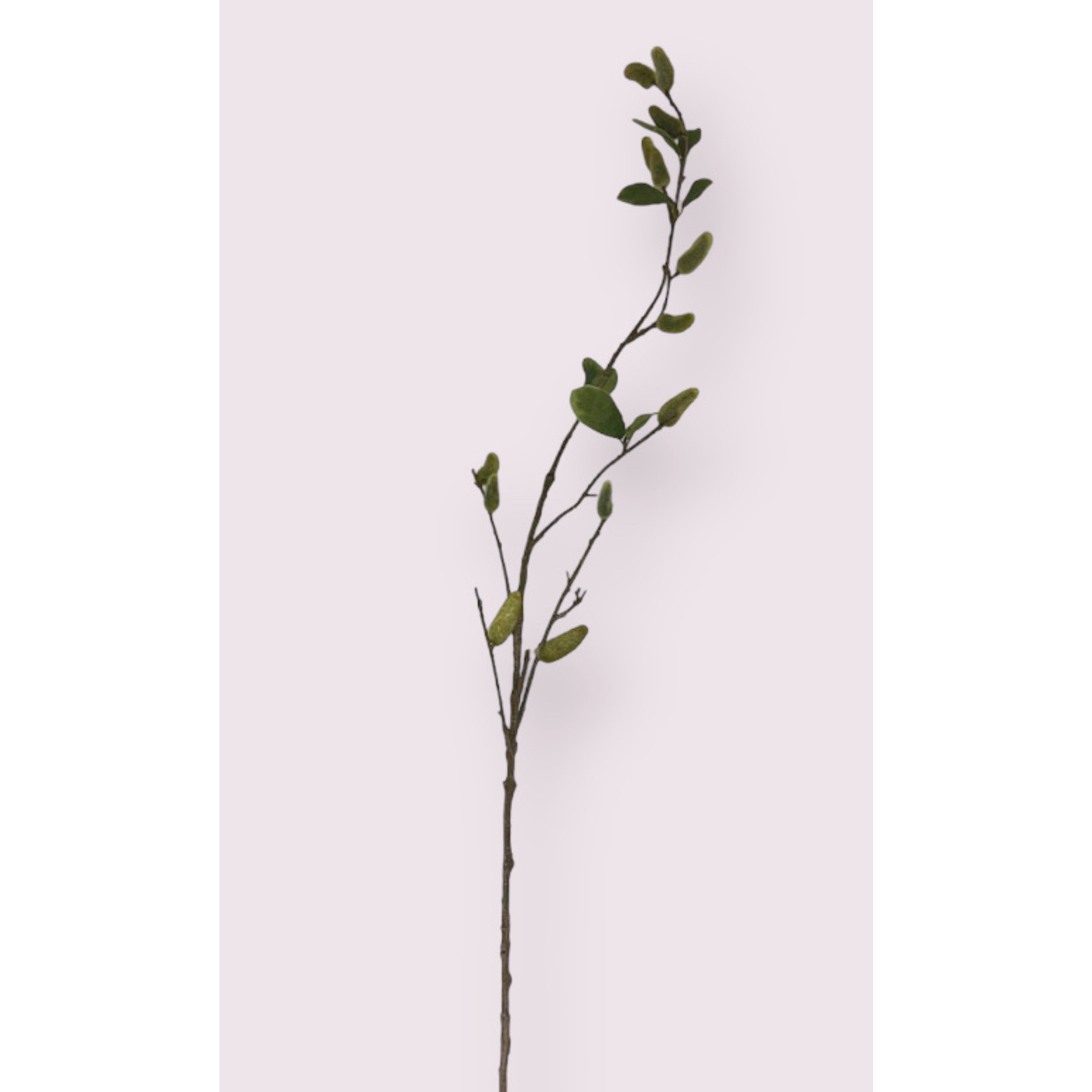 MAGNOLIA IN KNOP | GROEN| 100 CM