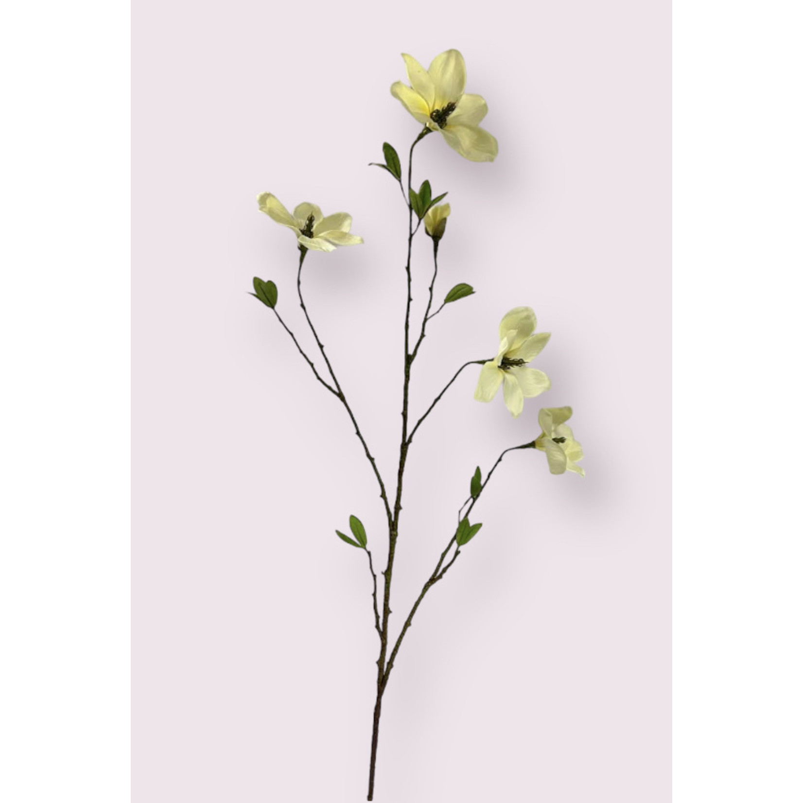 MAGNOLIA TAK | WIT | 110 CM