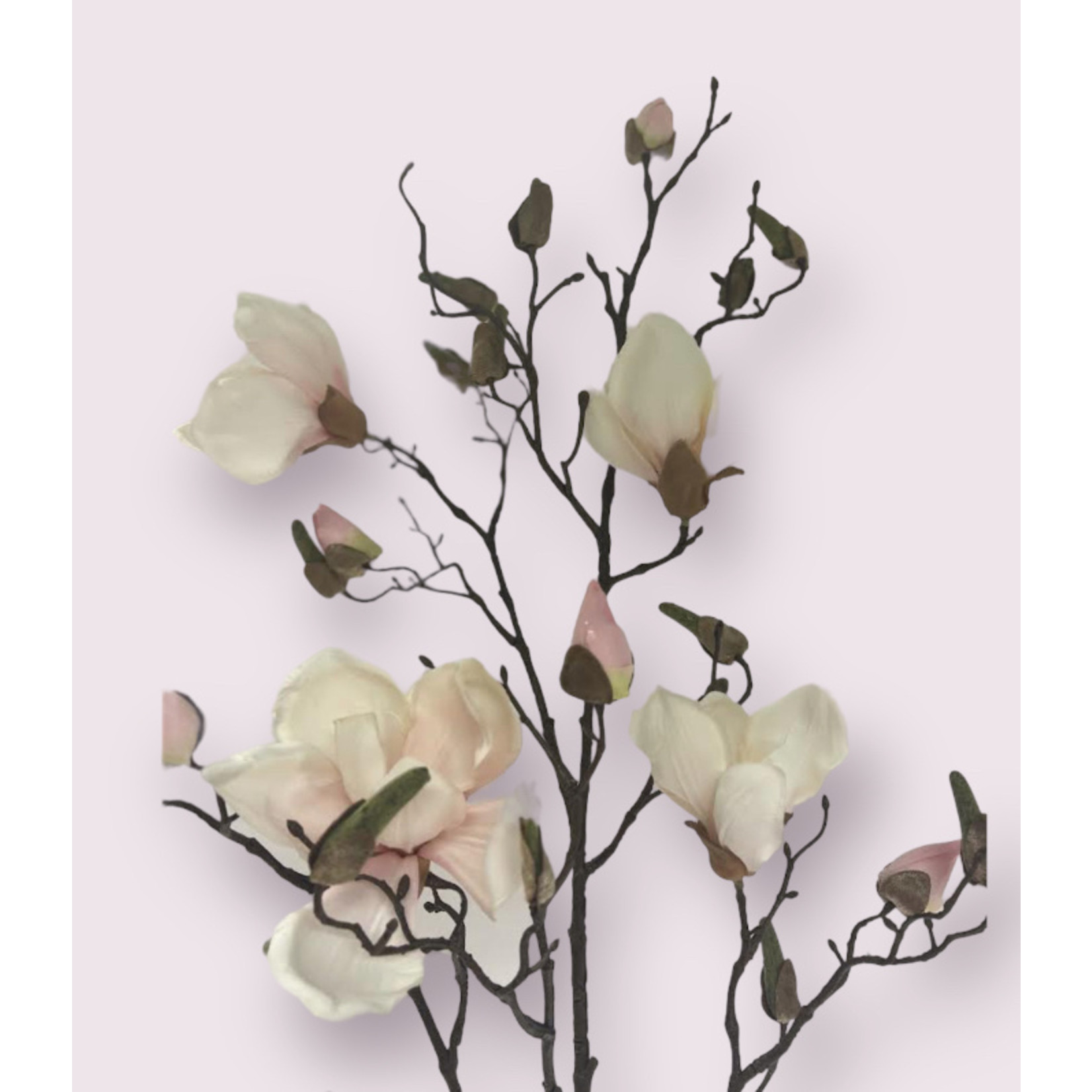 MAGNOLIA SPRAY SOULANGEANA | WHITE | 107 CM