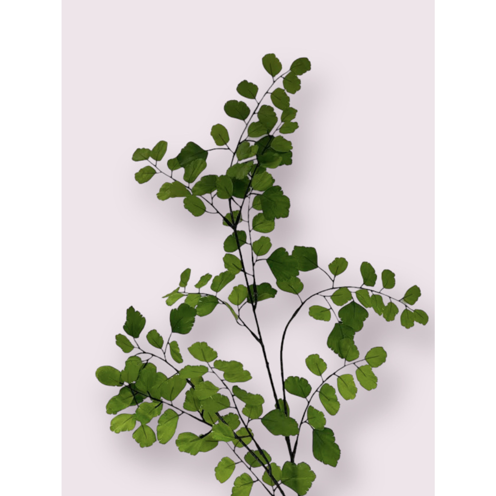 VENUSHAAR | GROEN | 93 CM