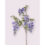 WISTERIA | BLAUW | 80 CM