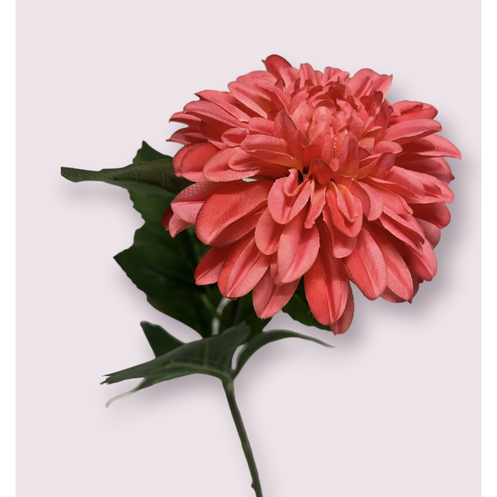 DAHLIA ESLI | PINK |  70 CM