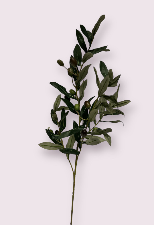 Olive Branch Green 50cm 1 main image 1