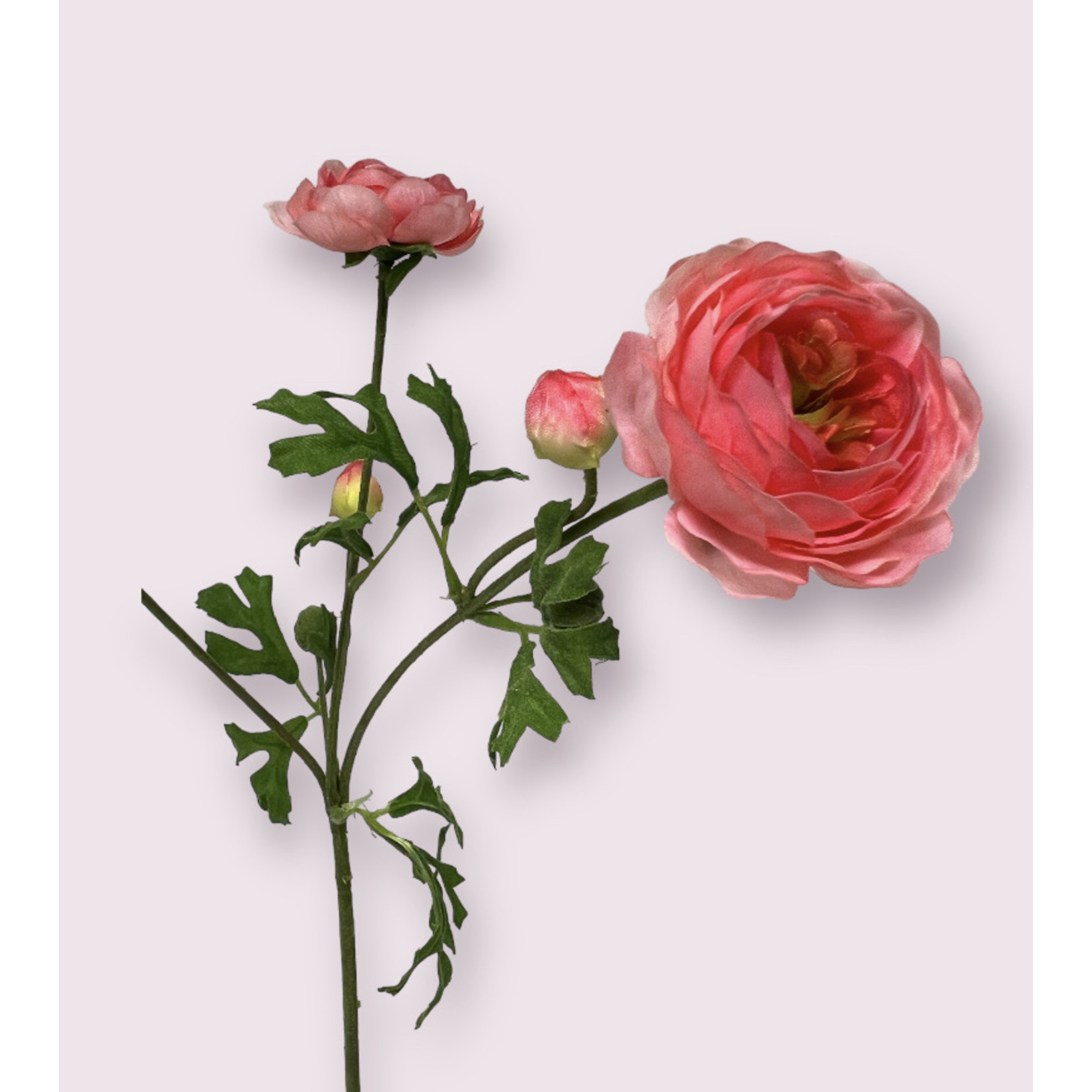 RANUNCULUS PINK HEART | PINK | 65 CM