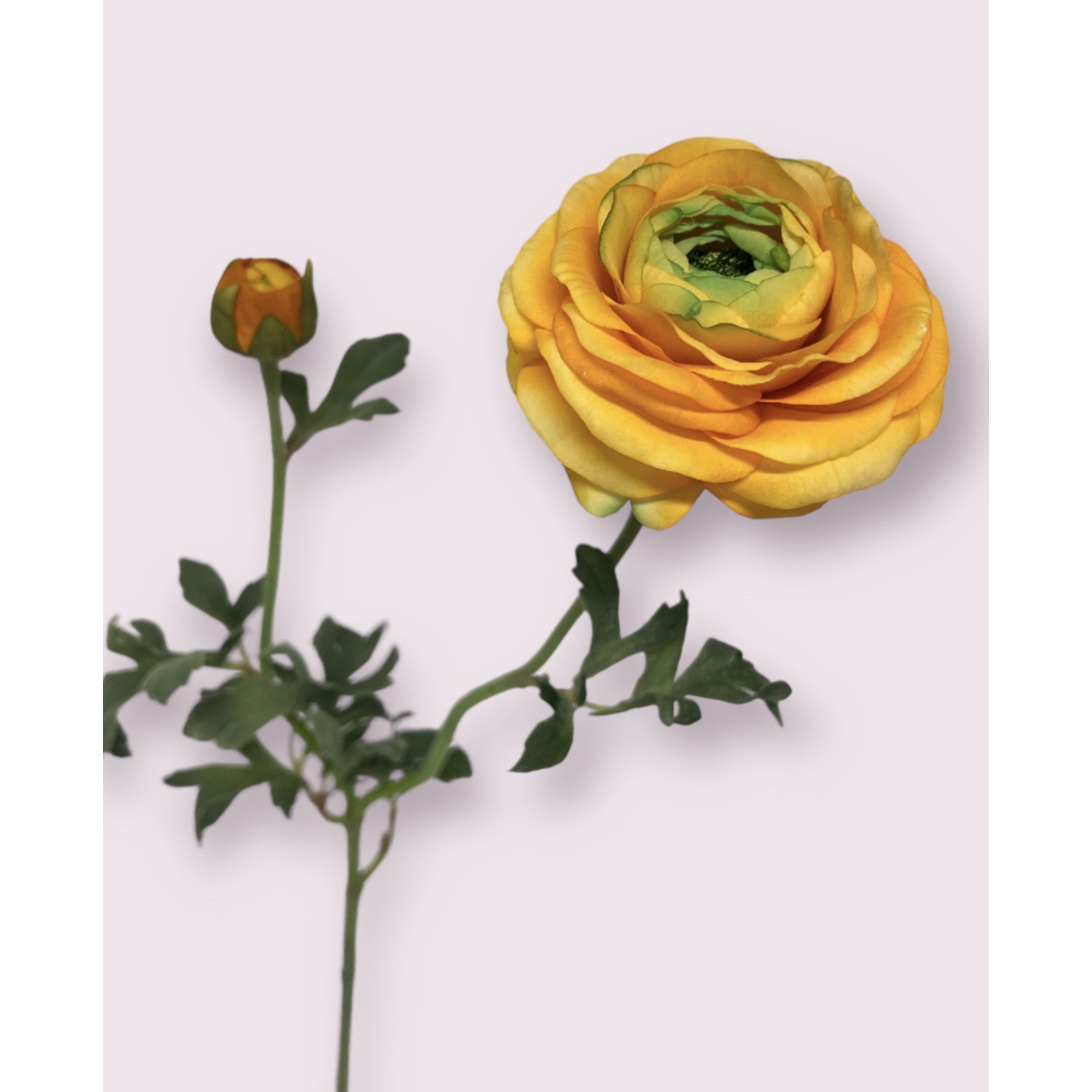 RANUNCULUS REAL TOUCH | YELLOW | 82 CM