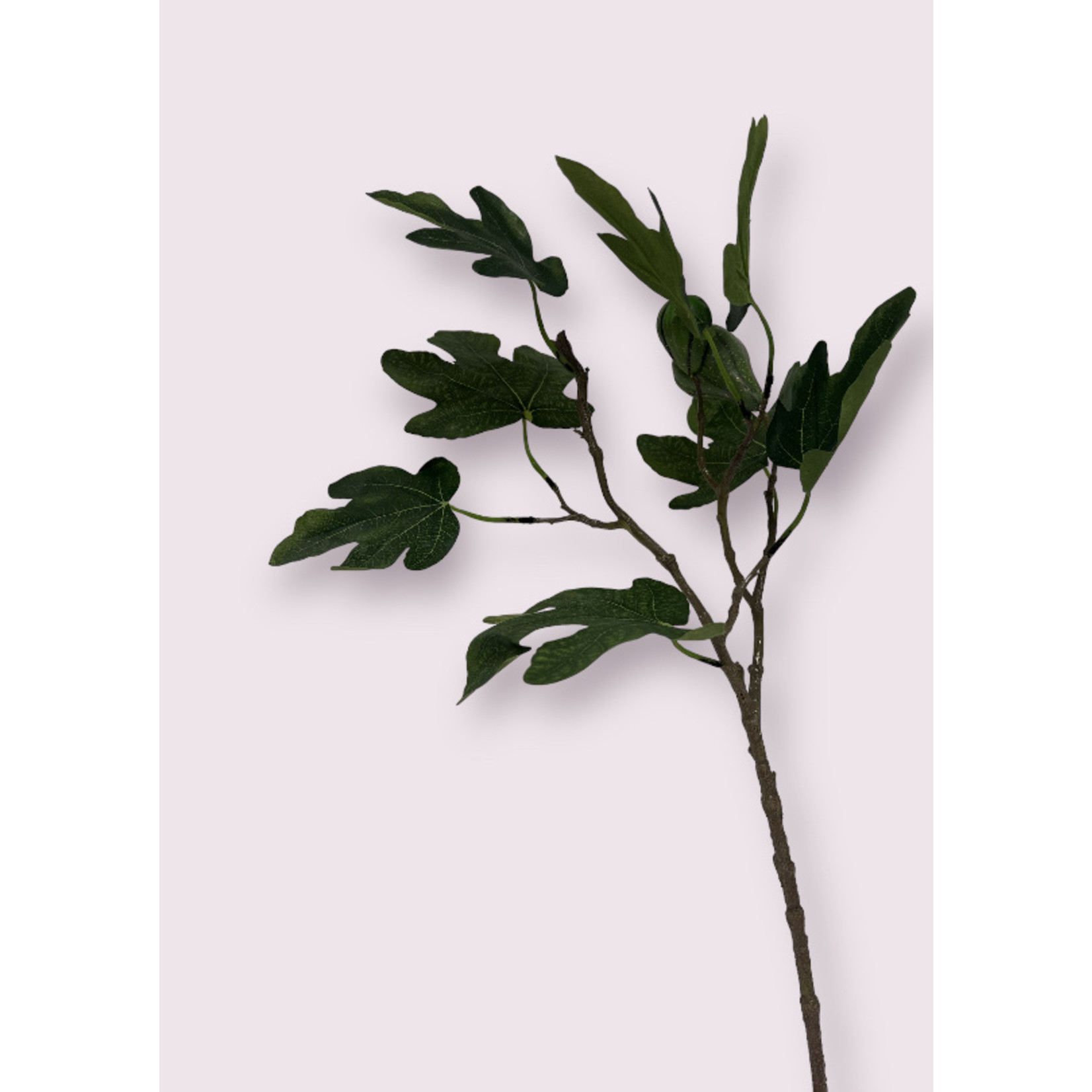 FIG LEAF | GREEN  | 65 CM