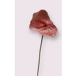 ANTHURIUM  | PINK | 70 CM