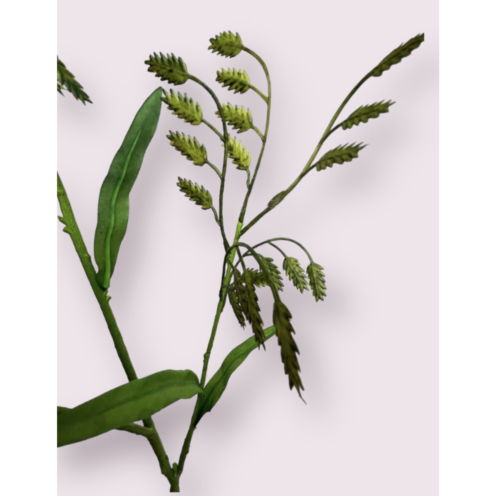 NORTHERN SEA OATS | GREEN | 115 CM