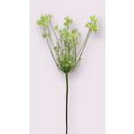 ALLIUM | WIT | 95 CM