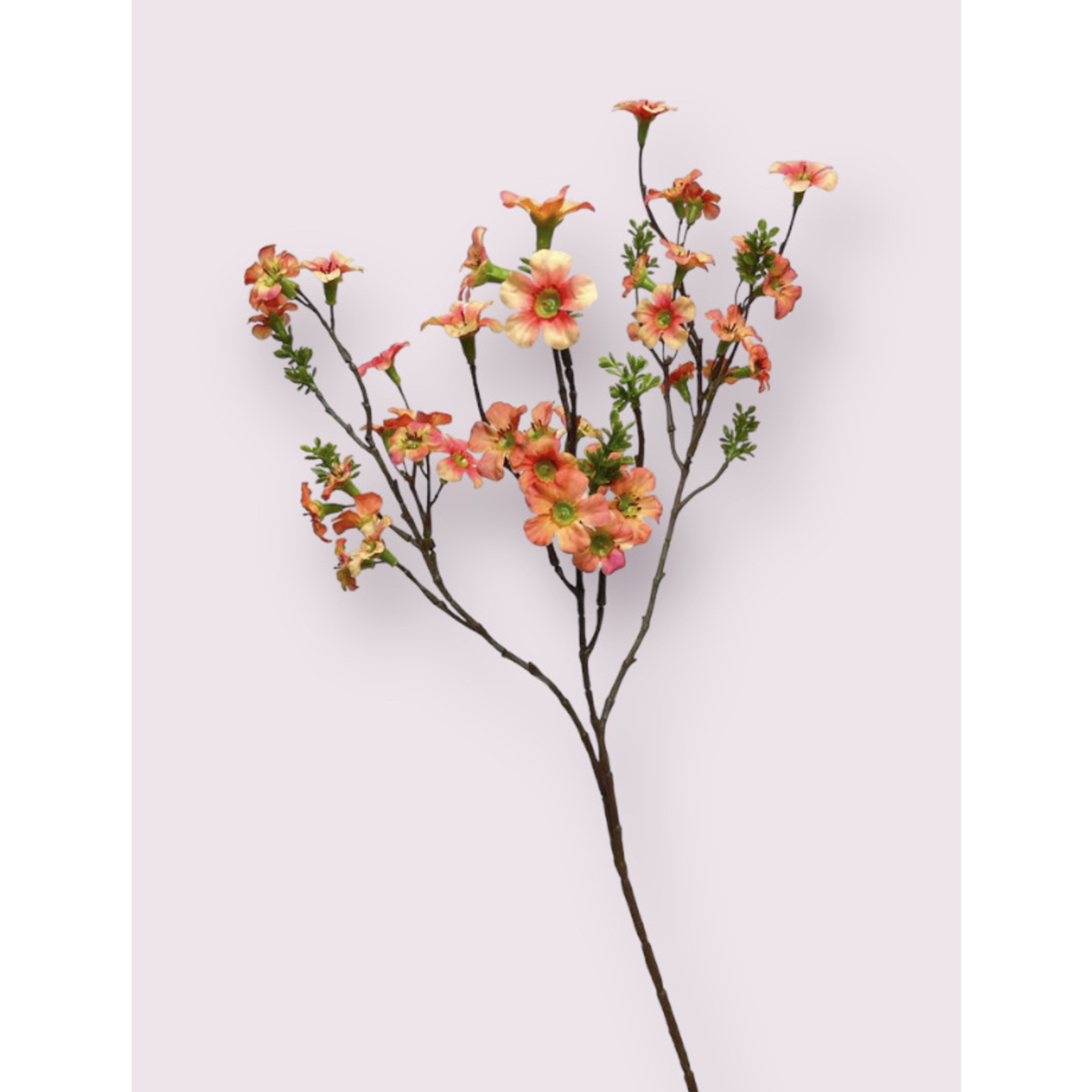 MANUKA BRANCH | PEACH | 86 CM