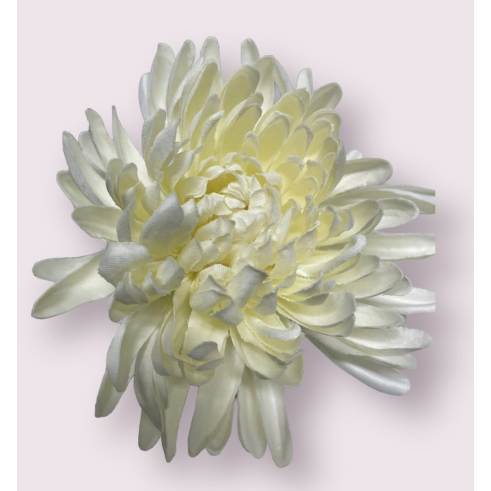 CHRYSANT ANTONOV | WIT | 60 CM