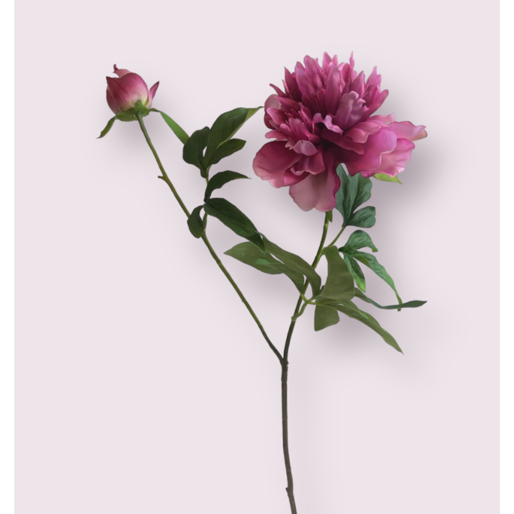 PEONY PINK CHARM | PINK | 65 CM