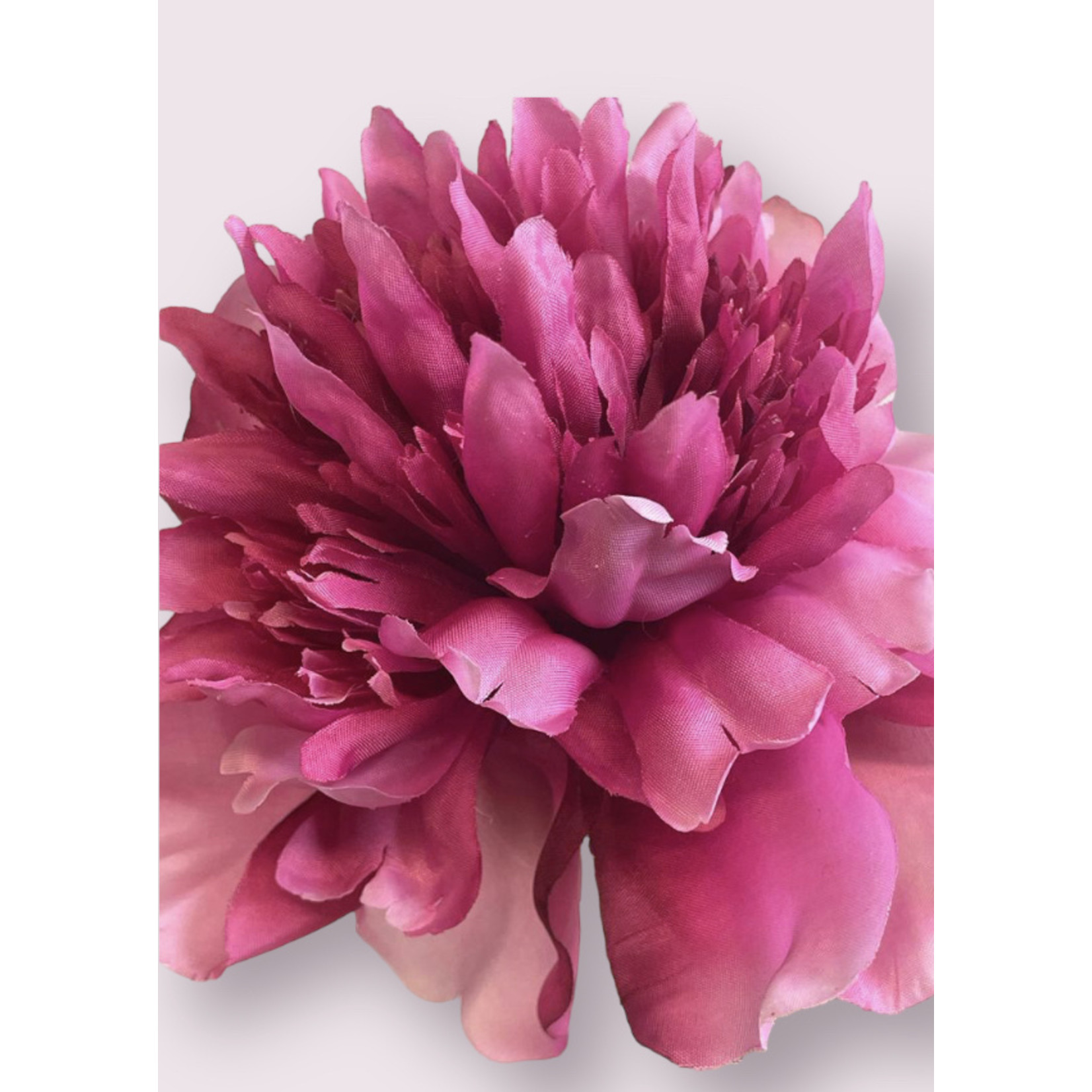 PEONY PINK CHARM | PINK | 65 CM