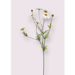 OX EYE DAISY | WHITE | 92 CM