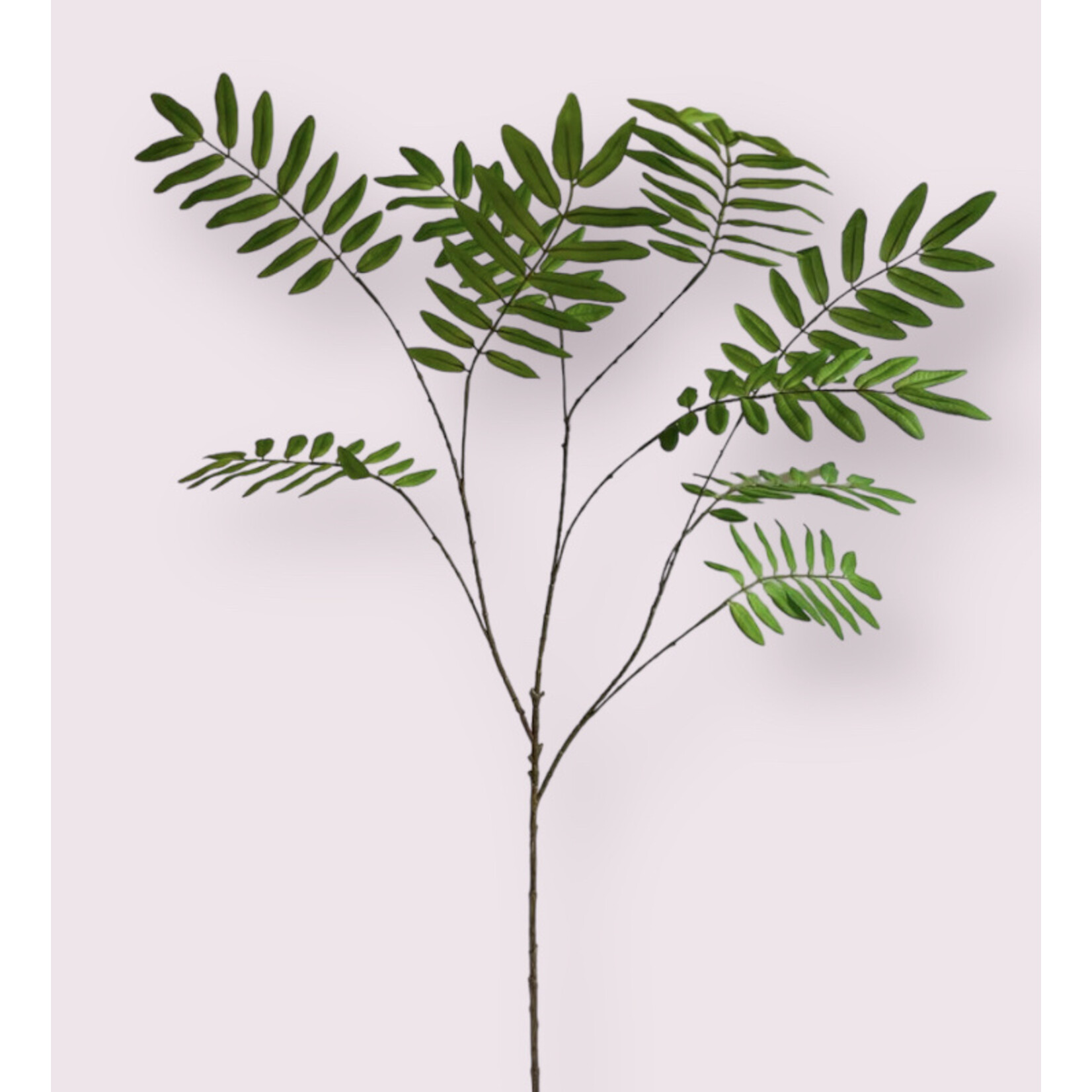 WEEPING WILLOW | GREEN | 115 CM