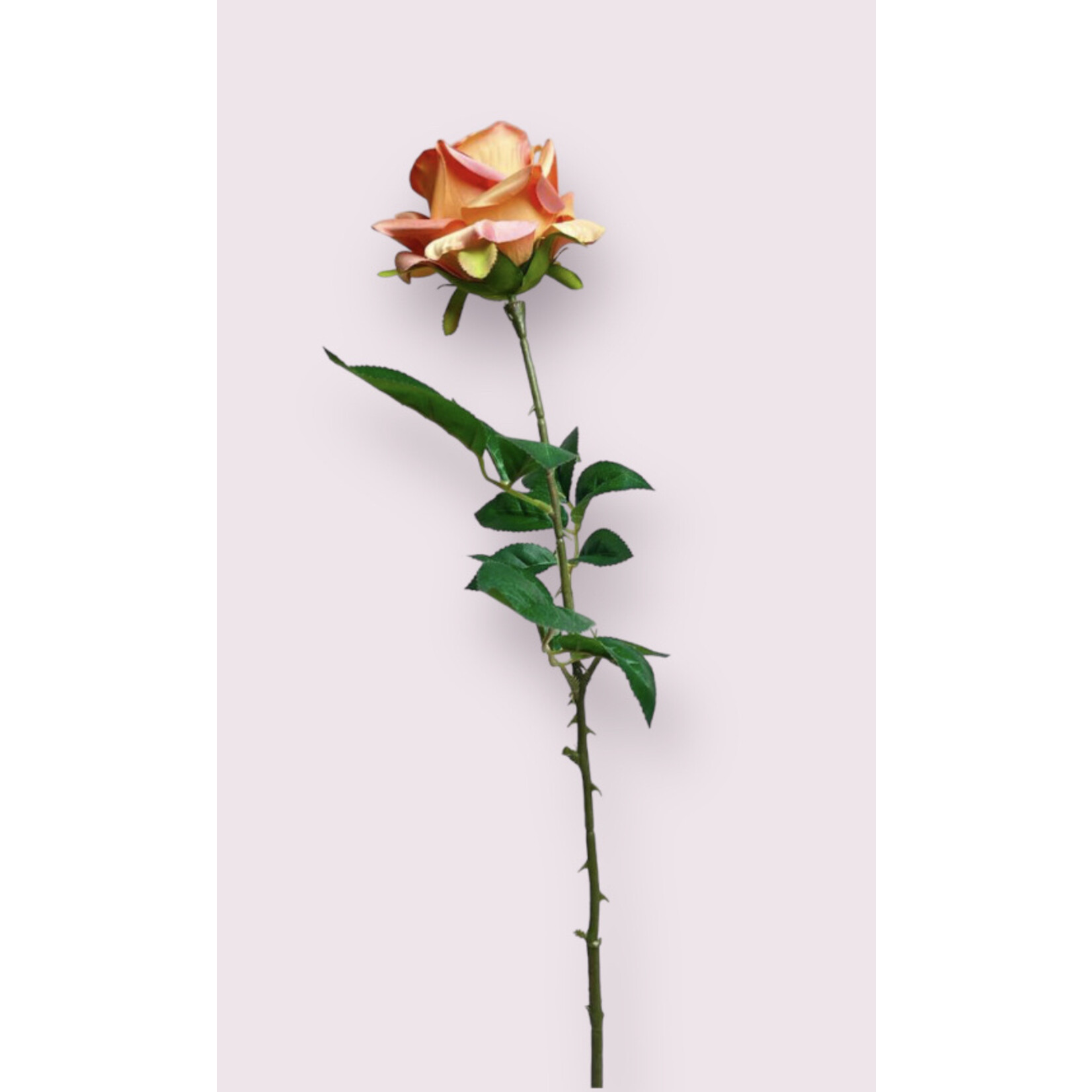 ROSE ADELE | SALMON | 75 CM