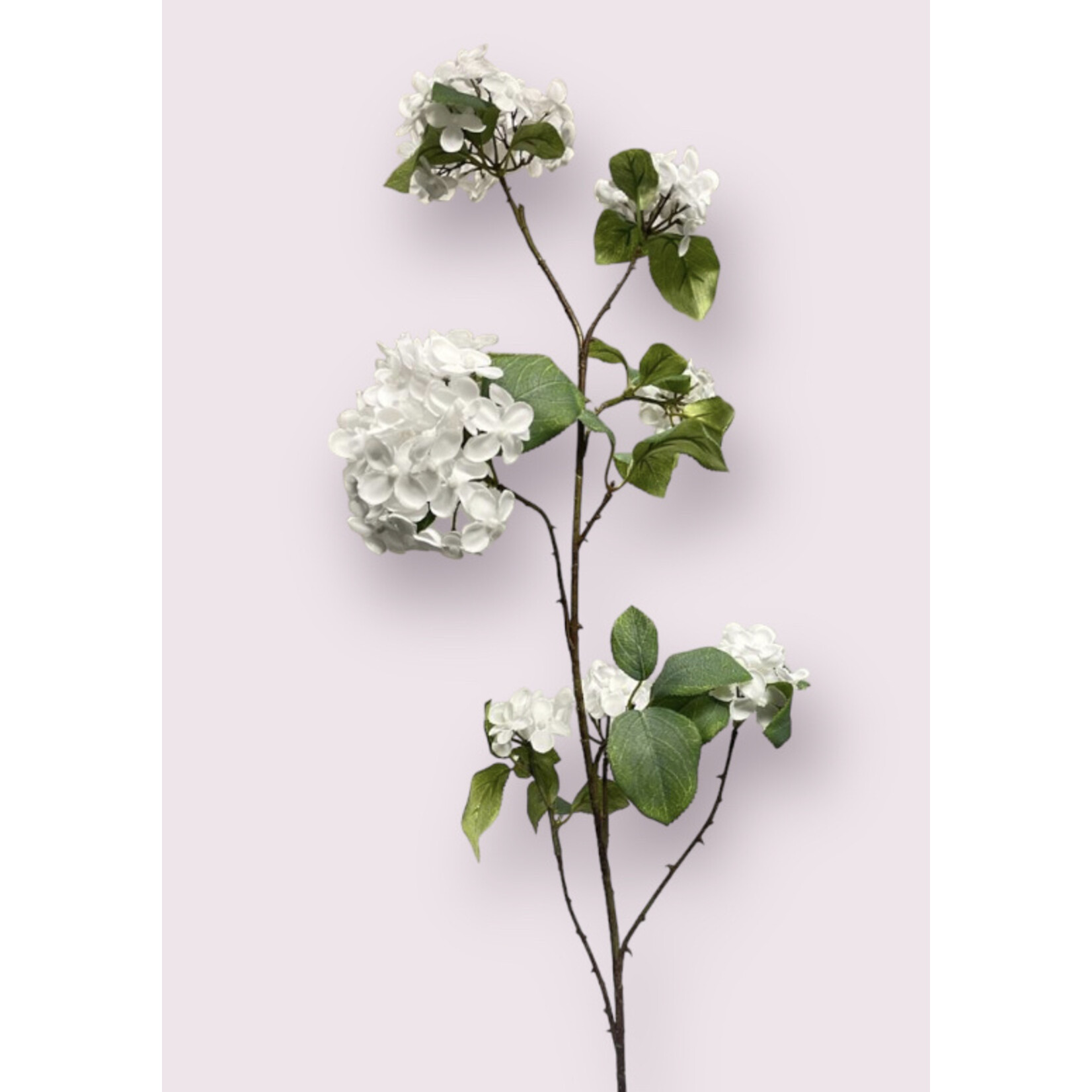 VIBURNUM XL  | WHITE | 115 CM