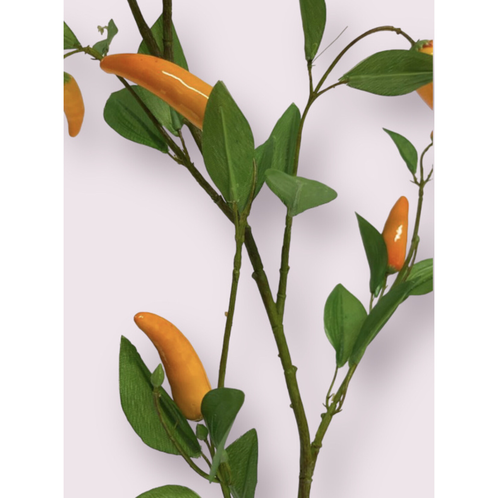 JALAPEÑO PEPPER ORANGE SPICE| ORANGE | 105 CM