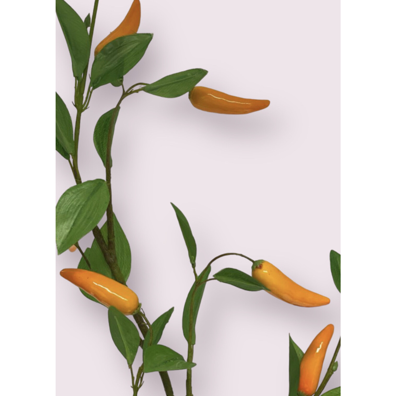 JALAPEÑO PEPPER ORANGE SPICE| ORANGE | 105 CM