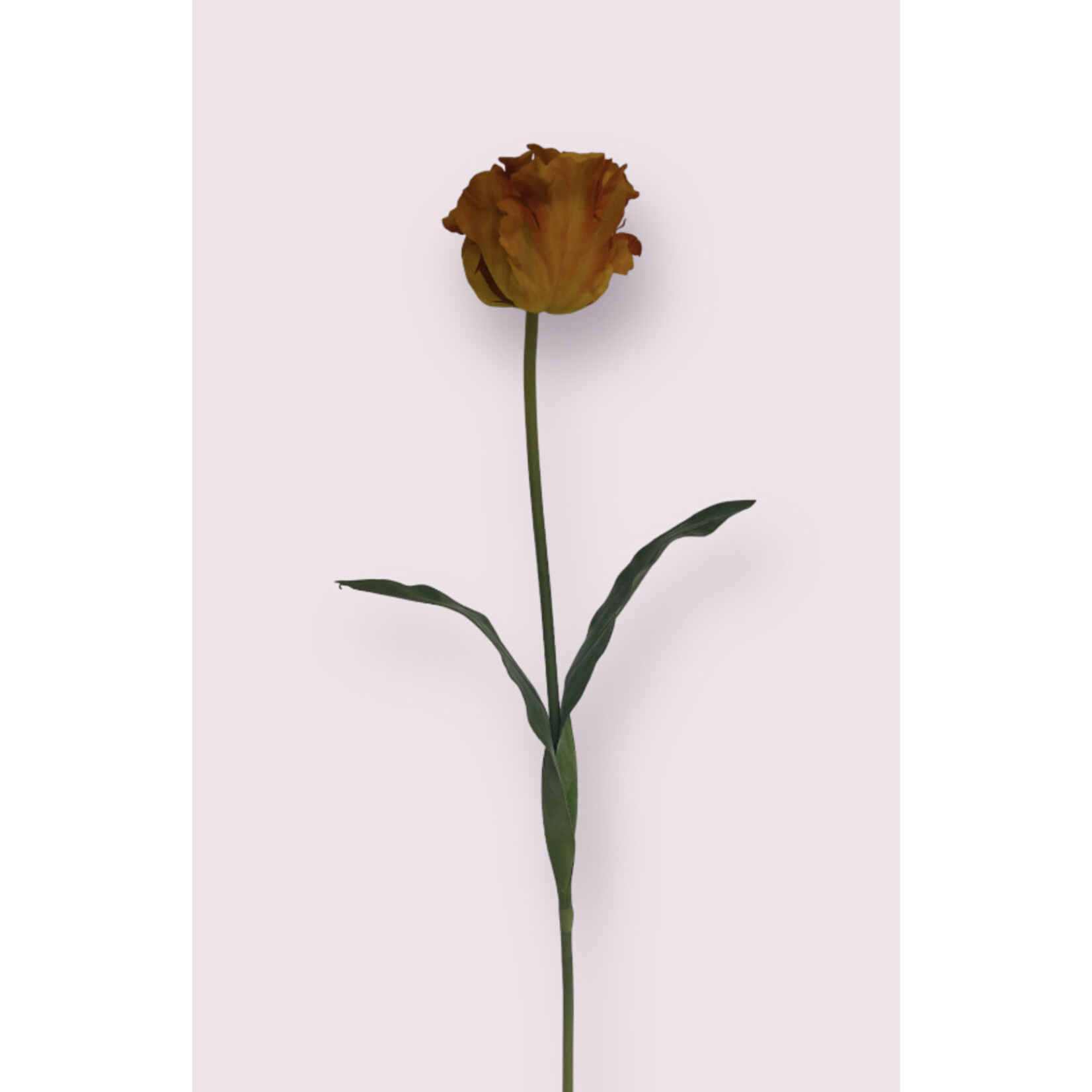 PARKIET TULP FLOWER POWER | ORANJE | 77 CM