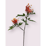 BERRY  SPRAY | ORANGE | 71 CM